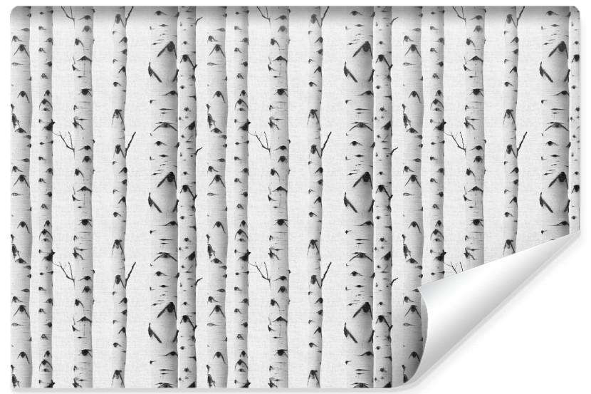 Fototapeta Ścienna Abstrakcyjny Brzozowy Las 135x90cm 163773