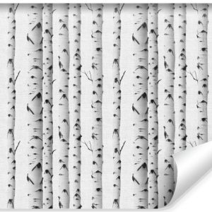 Fototapeta Ścienna Abstrakcyjny Brzozowy Las 520x318cm 163514 Fototapeta Ścienna Abstrakcyjny Brzozowy Las 520x318cm 163514