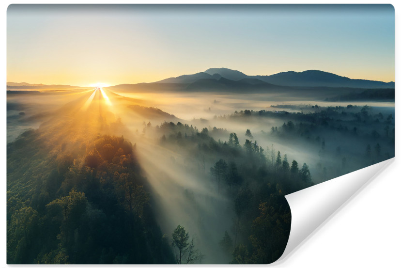 Fototapeta Ścienna Górski LAS Mgła Wschód 254x184cm 239162