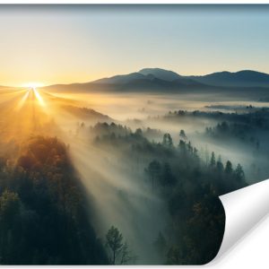 Fototapeta Ścienna Górski LAS Mgła Wschód 416x254cm 239129