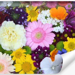 Fototapeta Ścienna KOLOROWE Kwiaty Wzór 3D 416x254cm 261121 Fototapeta Ścienna KOLOROWE Kwiaty Wzór 3D 416x254cm 261121