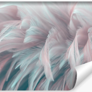 Fototapeta Ścienna Kolorowe PIÓRA 3D 416x254cm 294542 Fototapeta Ścienna Kolorowe PIÓRA 3D 416x254cm 294542