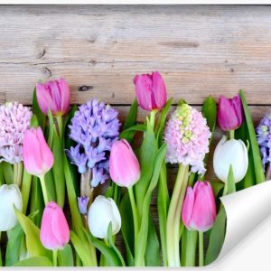 Fototapeta Ścienna KWIATY Tulipany Wzór 3D 270x180cm 261136
