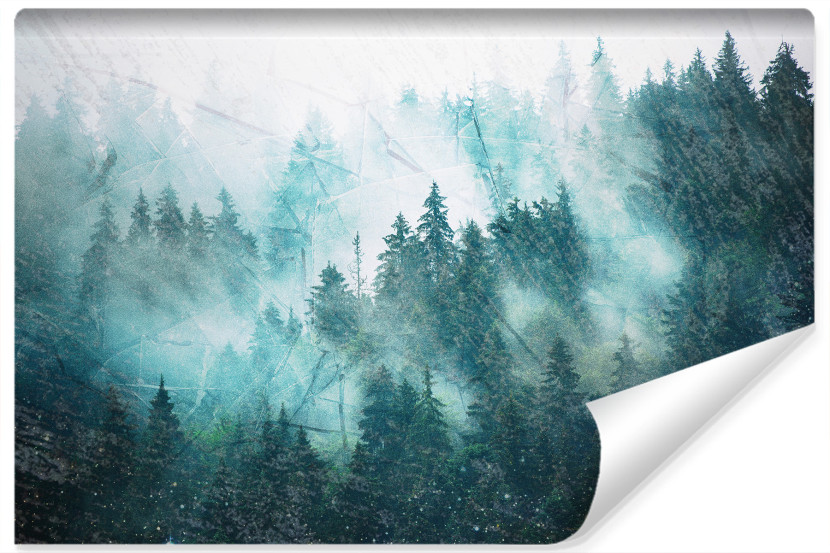 Fototapeta Ścienna LAS WE MGLE Pejzaż 3D 400x280cm 261101