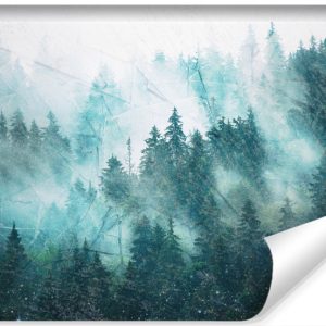 Fototapeta Ścienna LAS WE MGLE Pejzaż 3D 450x300cm 261198 Fototapeta Ścienna LAS WE MGLE Pejzaż 3D 450x300cm 261198