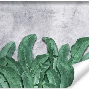 Fototapeta Ścienna LIŚCIE Bananowca Beton 90x60cm 260900