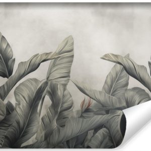 Fototapeta Ścienna Liście Bananowca Na Betonie 405x270cm 151939