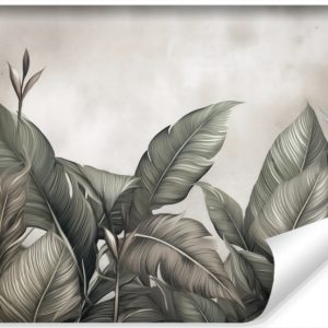 Fototapeta Ścienna Liście Bananowe Na Betonie 520x318cm 151874 Fototapeta Ścienna Liście Bananowe Na Betonie 520x318cm 151874