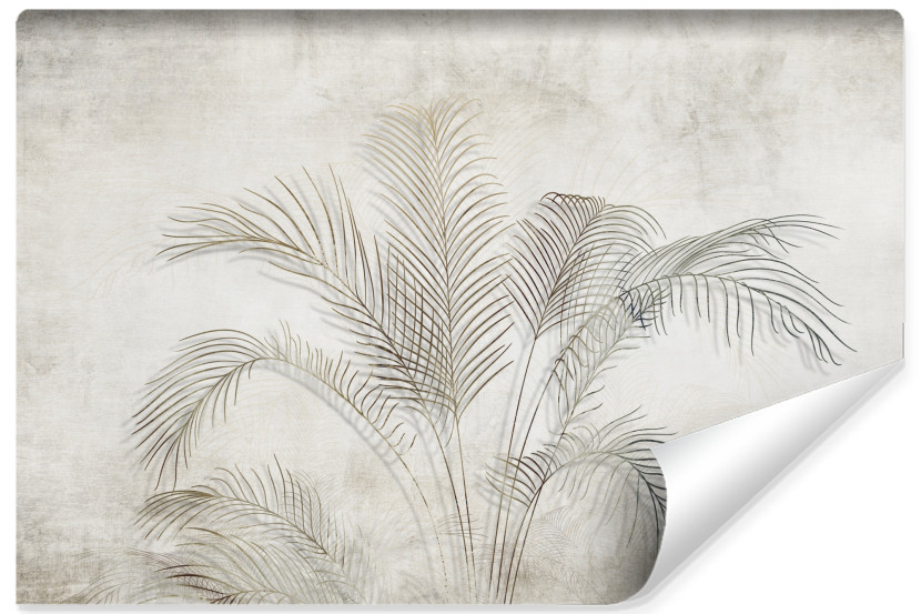 Fototapeta Ścienna Liście Palmowe Na Betonie 520x318cm 241760