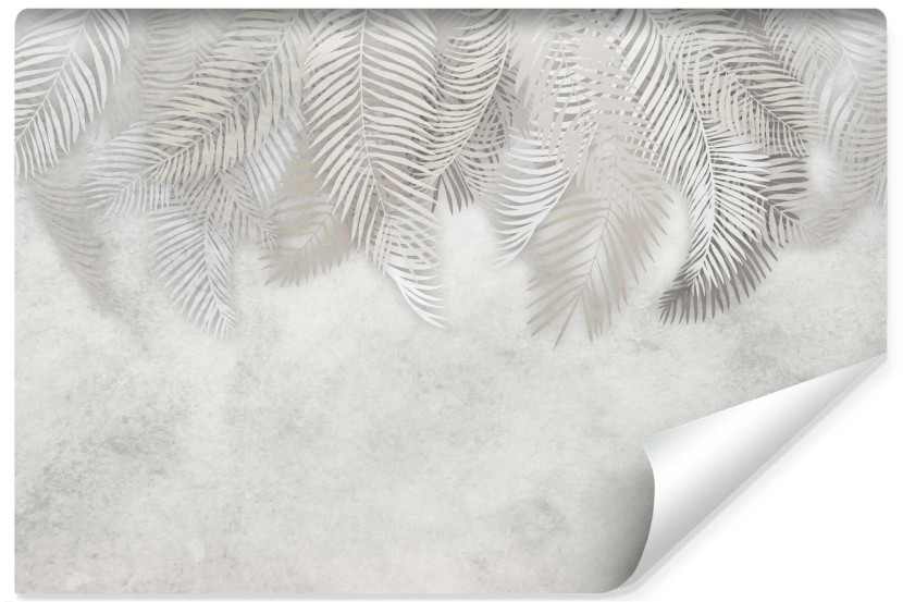 Fototapeta Ścienna LIŚCIE Palmowe Na Betonie 520x318cm 122452