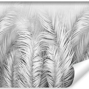 Fototapeta Ścienna LIŚCIE Tropikalne Palmy 270x180cm 123504 Fototapeta Ścienna LIŚCIE Tropikalne Palmy 270x180cm 123504