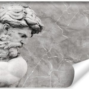 Fototapeta Ścienna NEPTUN Rzeźba Abstrakcja 208x146cm 306735 Fototapeta Ścienna NEPTUN Rzeźba Abstrakcja 208x146cm 306735