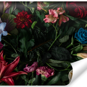 Fototapeta Ścienna ROŚLINNA Kompozycja 3D 104×70.5cm 250180 Fototapeta Ścienna ROŚLINNA Kompozycja 3D 104×70.5cm 250180