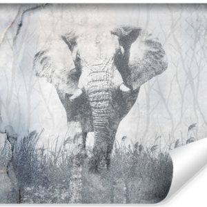 Fototapeta Ścienna SŁOŃ Beton Abstrakcja 460x300cm 173168 Fototapeta Ścienna SŁOŃ Beton Abstrakcja 460x300cm 173168