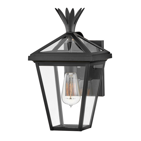 Kinkiet zewnętrzny czarno-przezroczysty PALMA 1xE27x60W IP44 Hinkley 896560