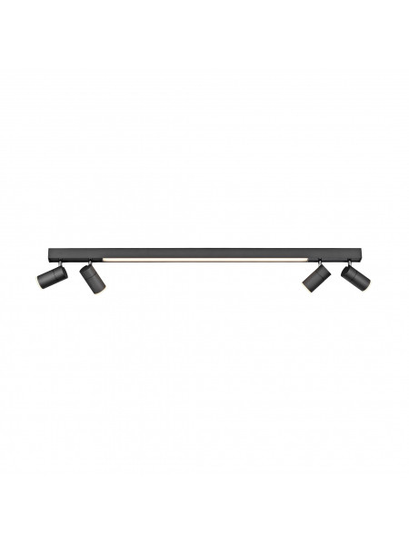 Lampa sufitowa PURE-LINES 6121-13 222164