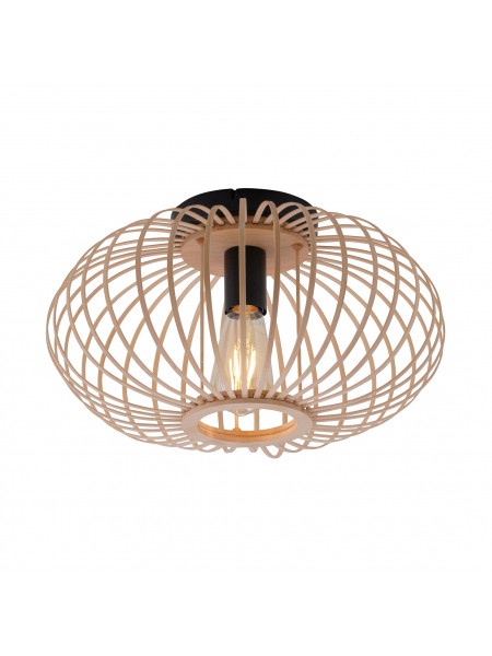 Lampa sufitowa RACOON 11410-79 207948