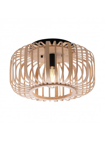 Lampa sufitowa RACOON 11412-79 207949