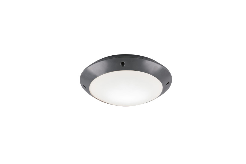 Lampa sufitowa zewnętrzna CAMARO antracyt 1 x E27 x 12W IP54 RL 931213