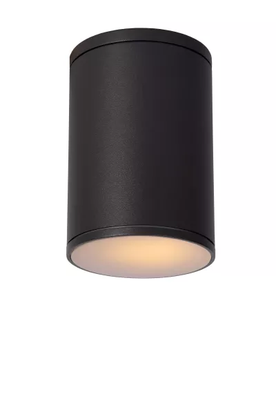 Lampa sufitowa zewnętrzna TUBIX antracyt 1 x E27 x 24W IP54 Lucide 931358
